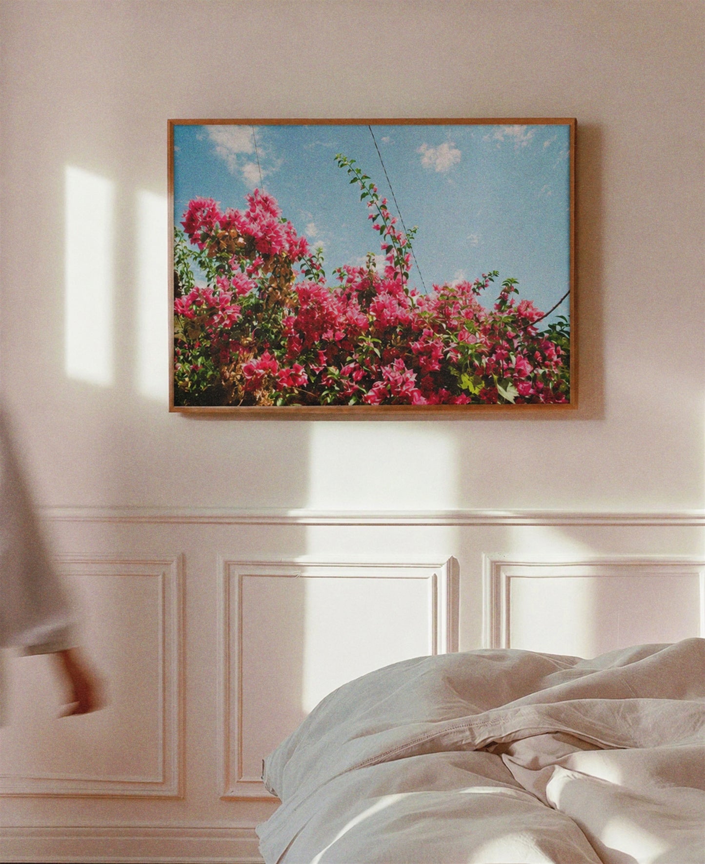 "Bougainville" Art Print