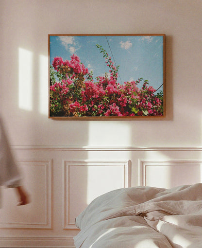 "Bougainville" Art Print