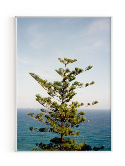 "Vista Imperiale" Photography Print