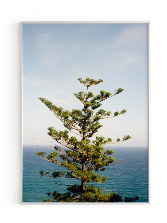 "Vista Imperiale" Photography Print