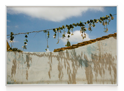 "Flores" Art Print