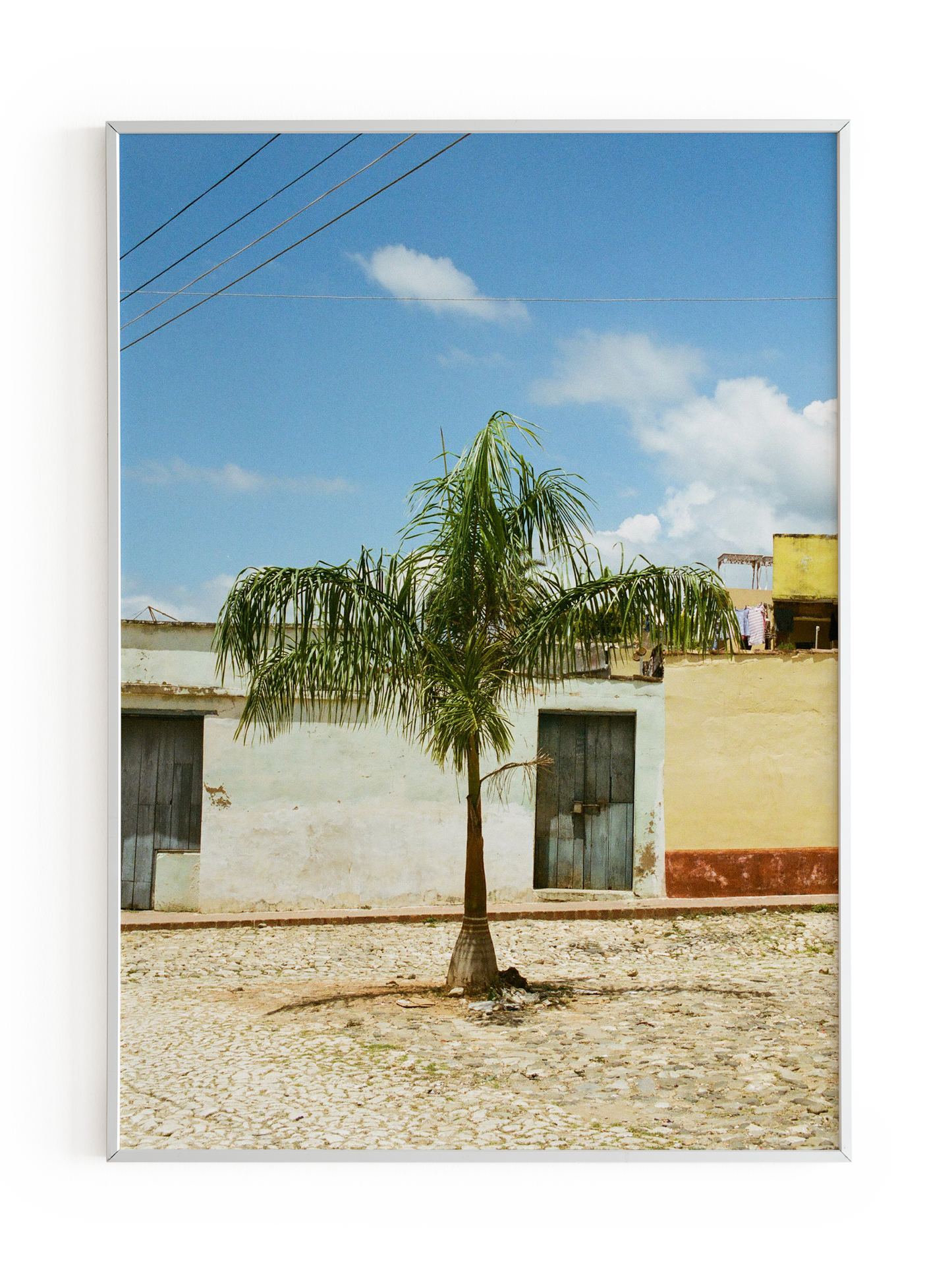 "Palmera" Art Print