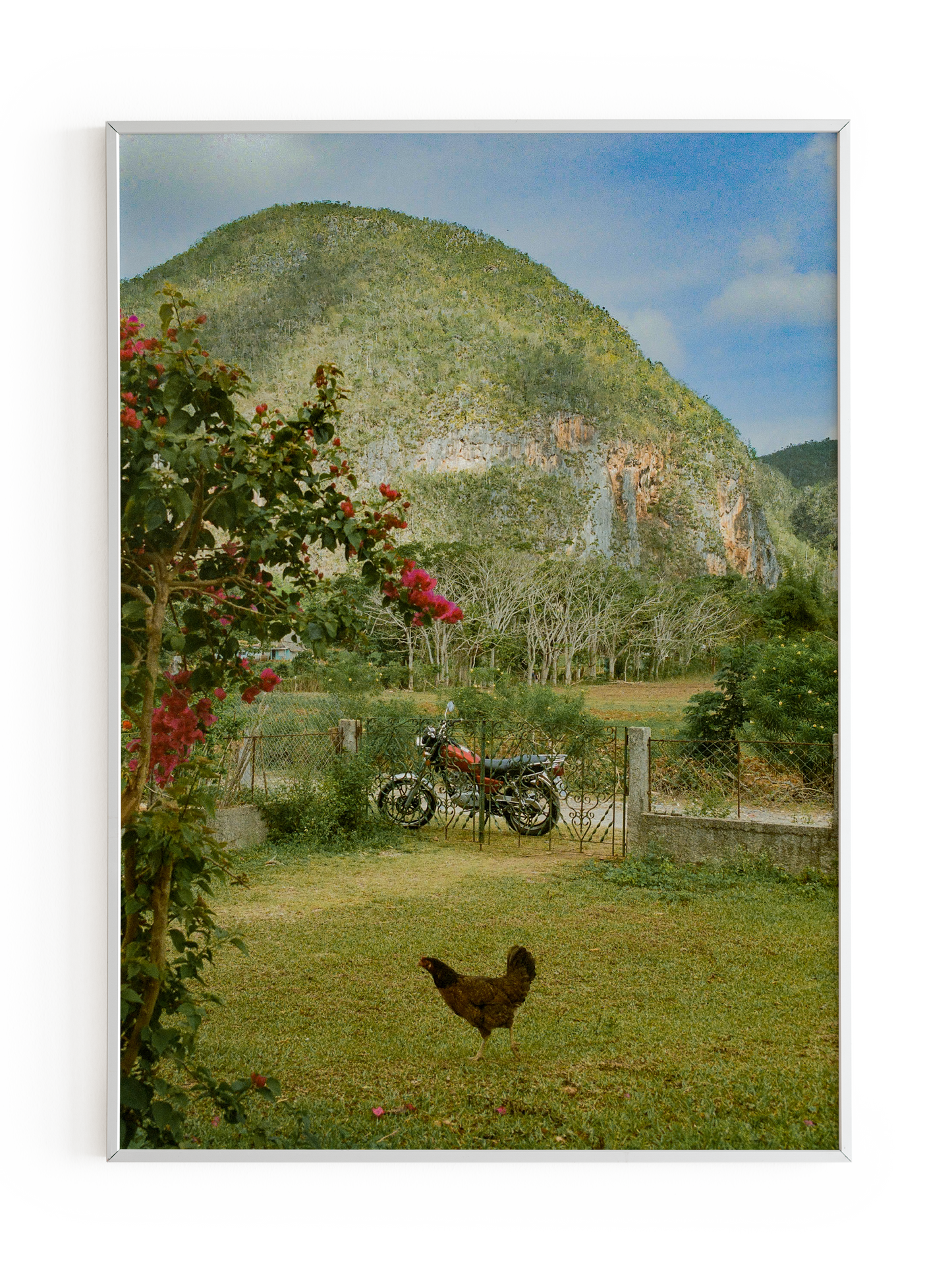 "Viñales" Art Print