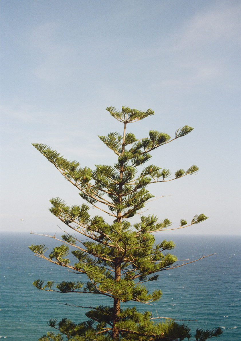 "Vista Imperiale" Photography Print