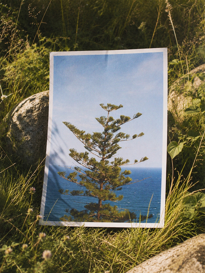 "Vista Imperiale" Photography Print