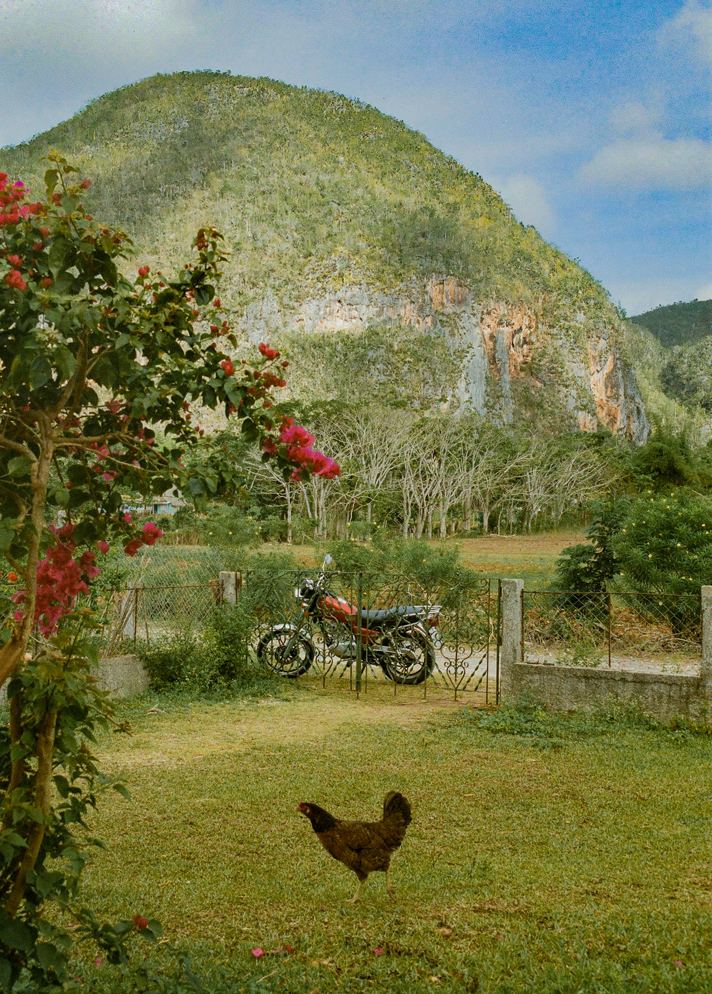 "Viñales" Art Print